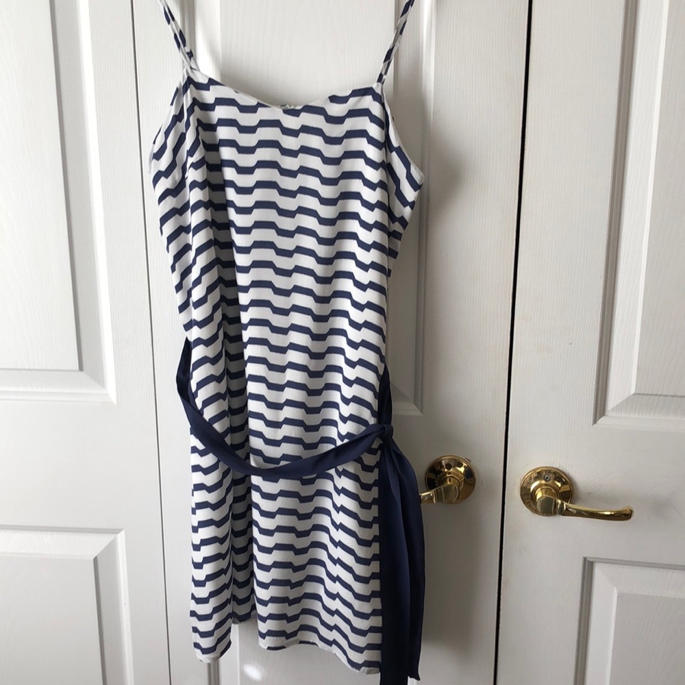 Naked Zebra Dress 🌺